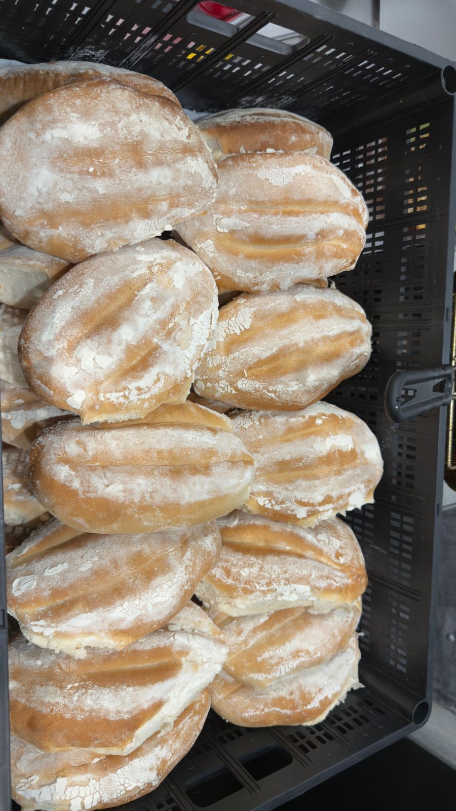 Bolillos