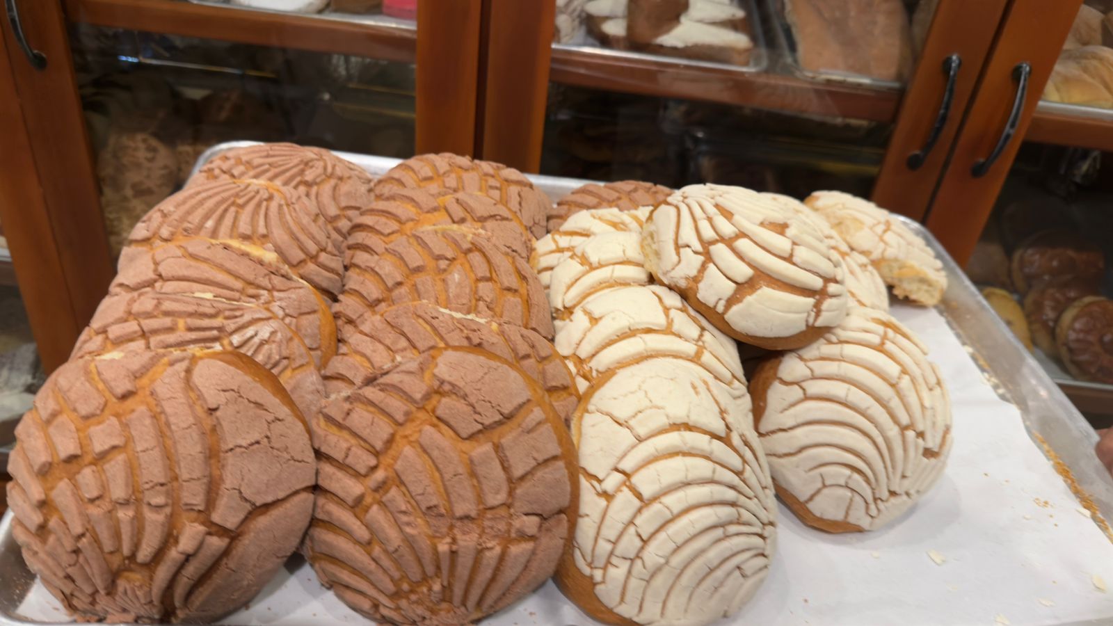 Conchas Frescas